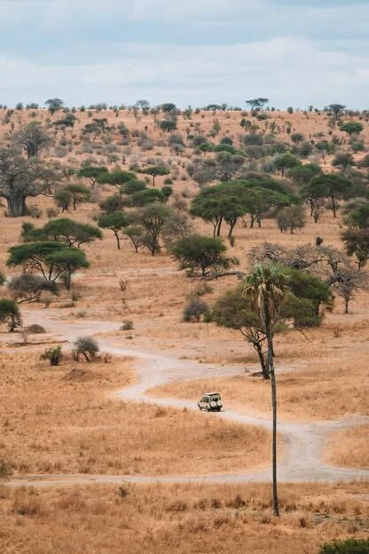 3 Days 2 to Tarangire/Ngorongoro / materuni waterfalls